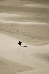 25 anys de Concurs de Fotografia Naturalista