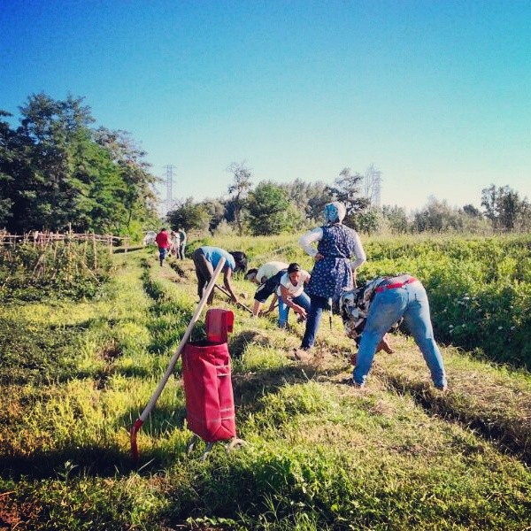 L’ANG promou accions de millora a les Hortes de Santa Eugènia i a la Vall de Sant Daniel