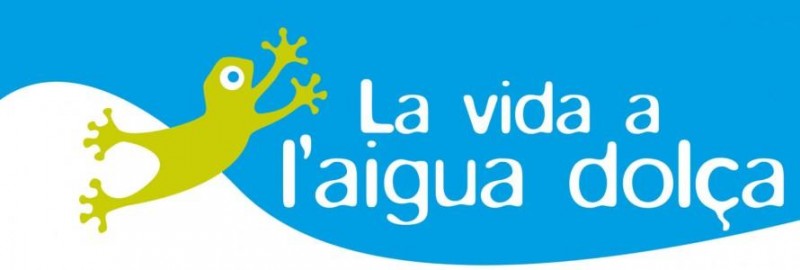 L’Associació de Naturalistes de Girona (ANG) i IAEDEN-Salvem l'Empordà proposen activitats per descobrir La Vida a l'Aigua Dolça