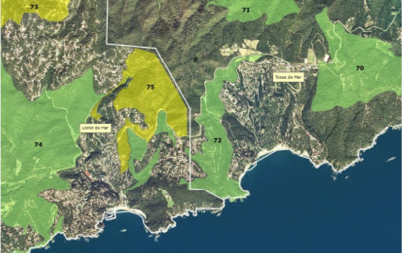 L’Associació de Naturalistes de Girona reclama que la Cala Morisca segueixi sense urbanitzar