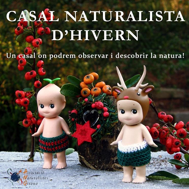Inscripcions obertes al Casal Naturalista de Nadal 2016. Els NATUS us oferim diversió naturalista pels més petits de la casa!