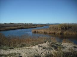 L’Associació de Naturalistes de Girona (ANG) considera que el projecte constructiu del gual d'accés a la batllia sobre el riu Ter a Sant Joan de les Abadesses pot afectar a la biodiversitat fluvial