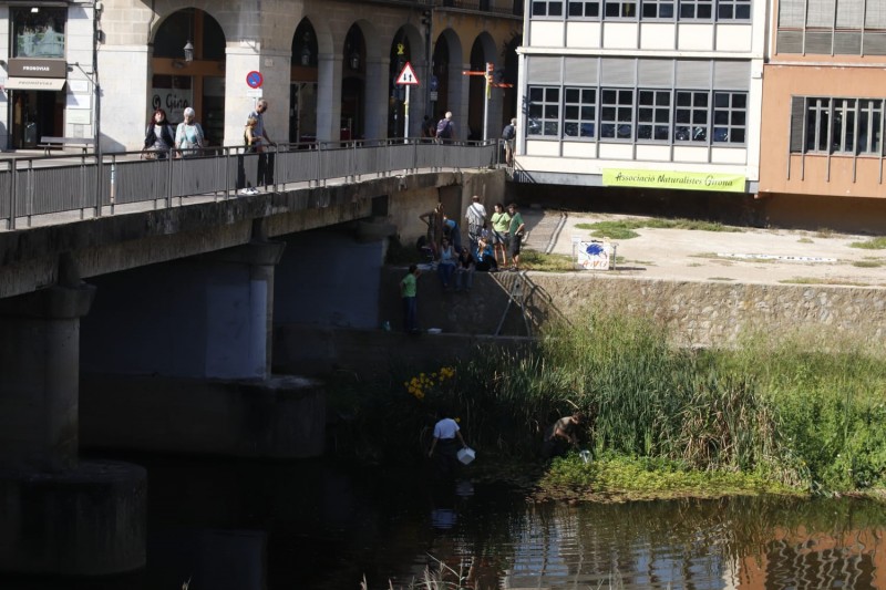 L’Associació de Naturalistes de Girona avalua l’estat del riu Onyar en el tram urbà