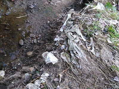 L’Associació de Naturalistes de Girona denuncia la presència de tovalloletes higièniques i compreses al riu Güell de Girona
