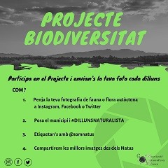 Projecte Biodiversitat