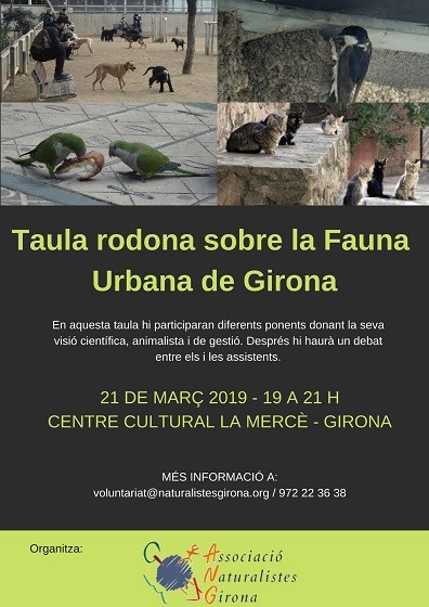 Taula rodona sobre la Fauna Urbana de Girona