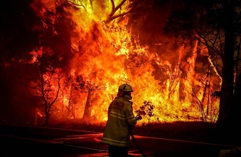 Els Natus ens solidaritzem amb els grans incendis d'Austràlia