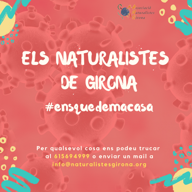 Els Naturalistes de Girona ens quedem a casa 