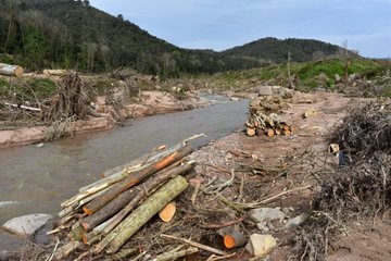 Deu organitzacions ecologistes denuncien a la Fiscalia de Medi Ambient la destrucció del bosc de ribera a la riera d’Arbúcies