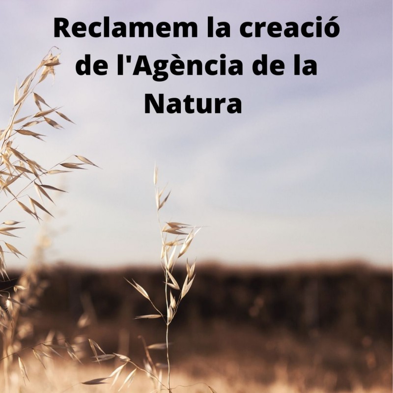 Reclamem l’aprovació urgent de l’Agència de la Natura de Catalunya