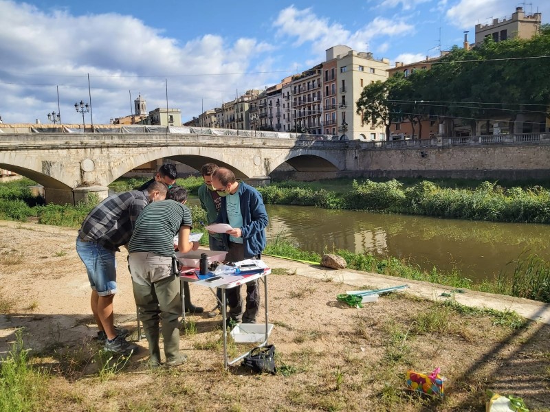L'Associació de Naturalistes de Girona mostreja el riu Onyar