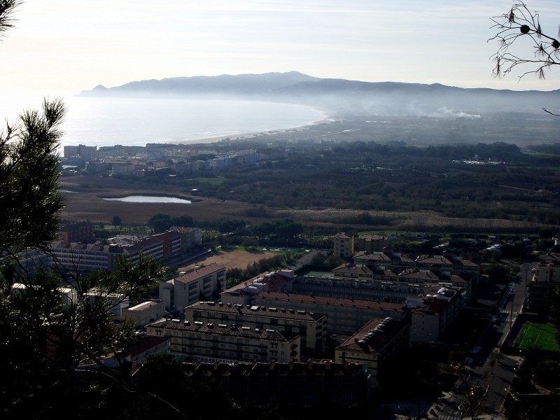 L’Associació de Naturalistes de Girona (ANG) demana que el projecte de dic del port de l’Estartit se sotmeti a avaluació d’impacte ambiental
