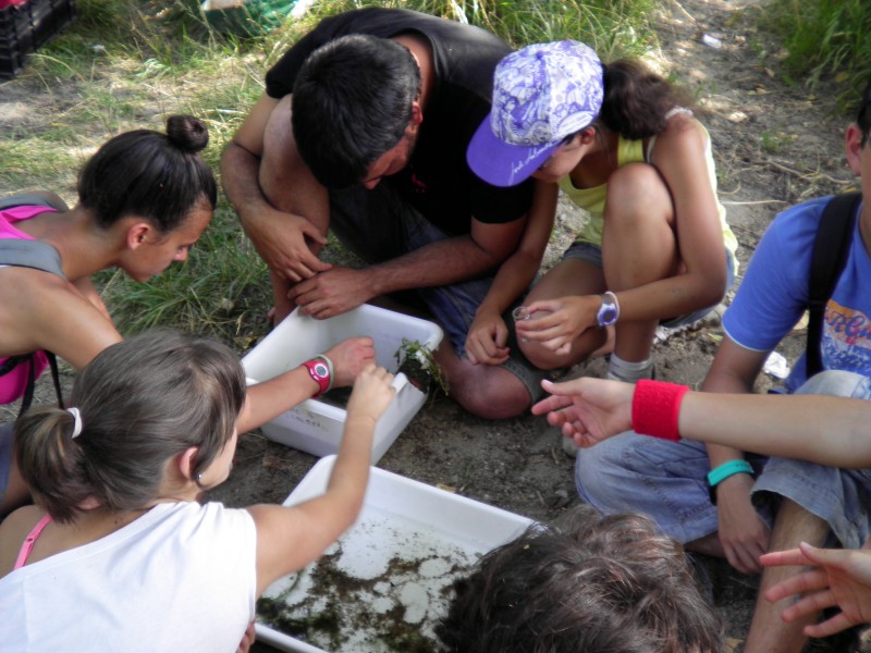 24 joves construeixen hàbitats per a la fauna a la Vall de Sant Daniel en el camp de treball gestionat per l'ANG